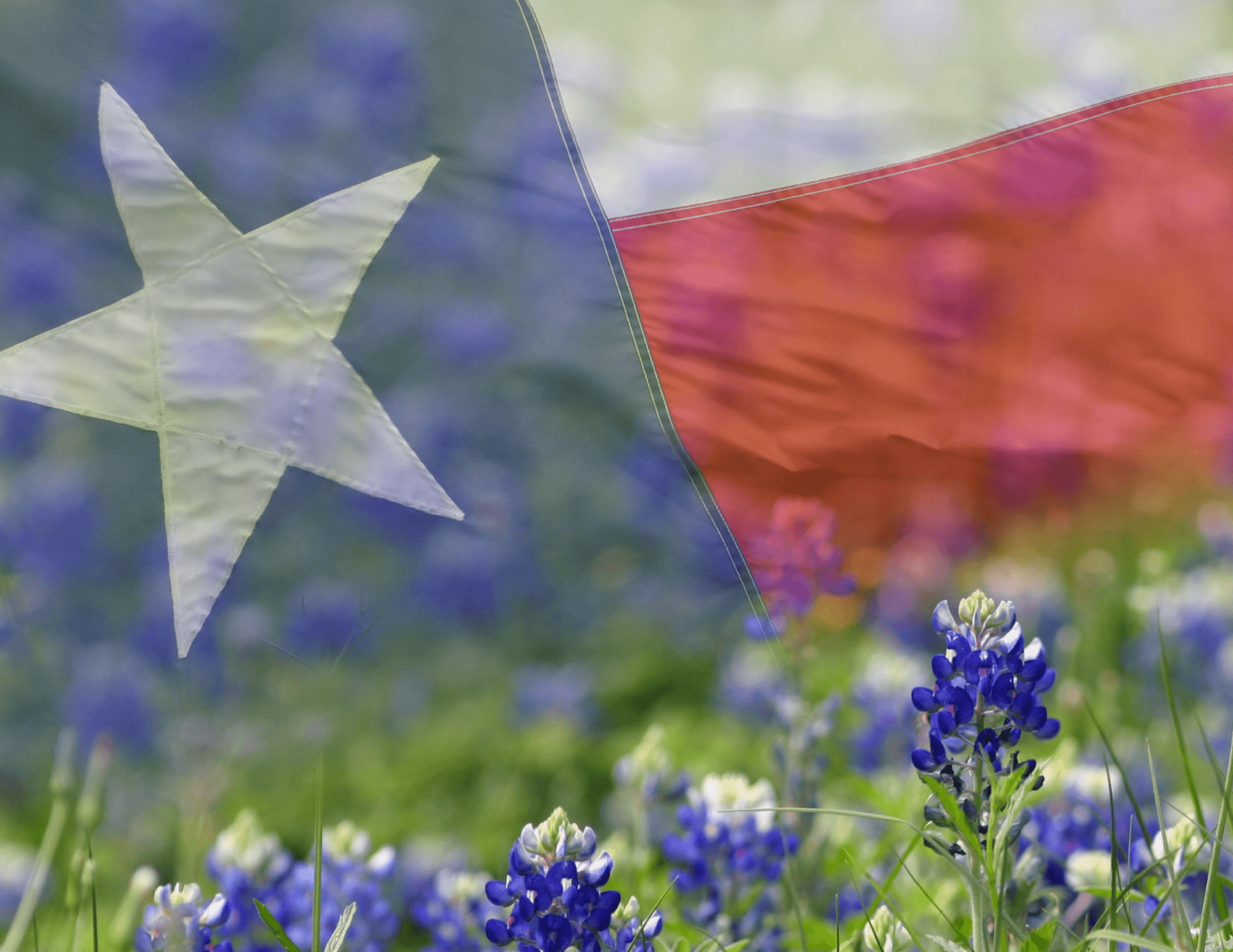 Por que family offices e inversionistas HNW se estan reposicionando en Texas commercial real estate en 2026