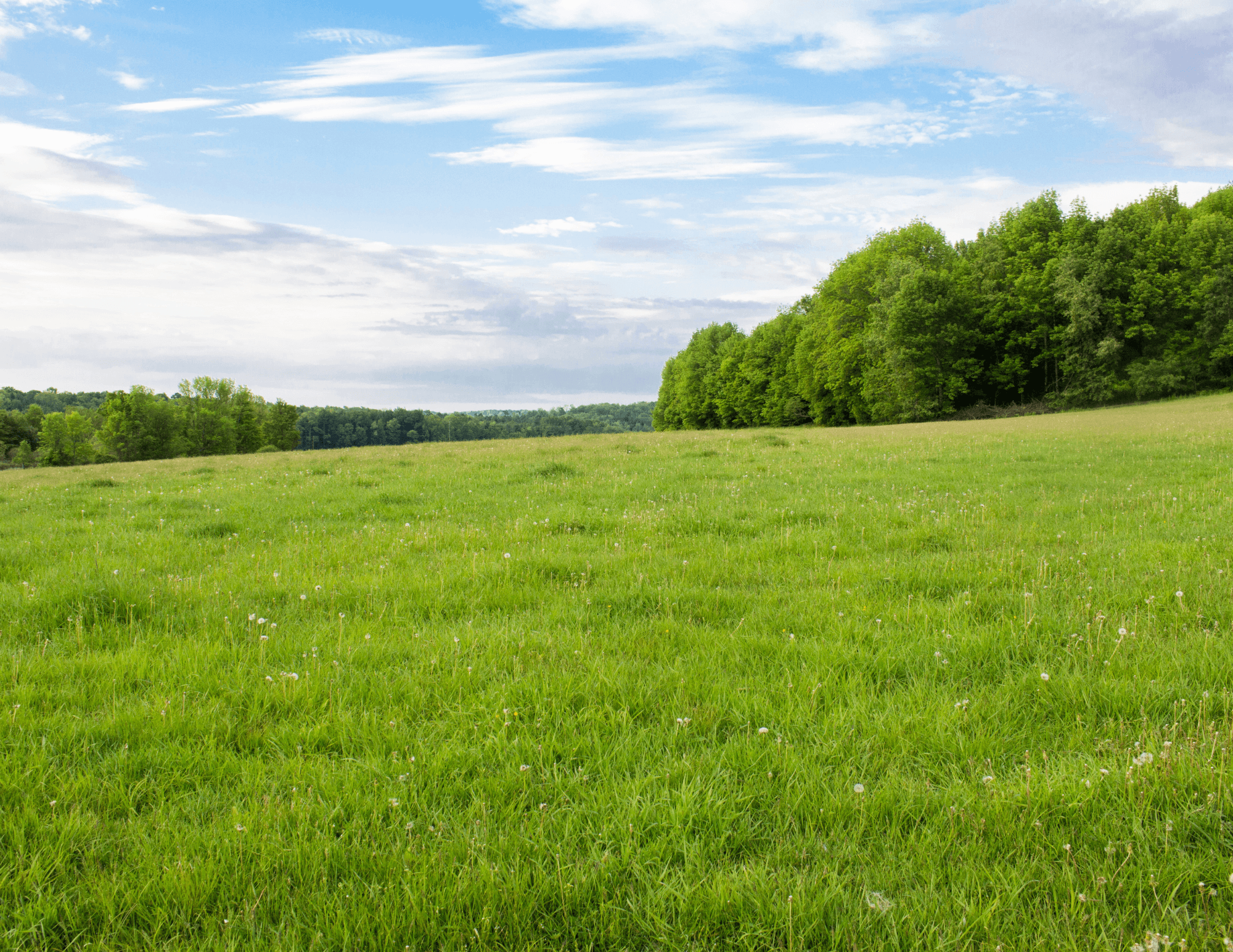 Guia de asignacion inmobiliaria para family offices en Texas